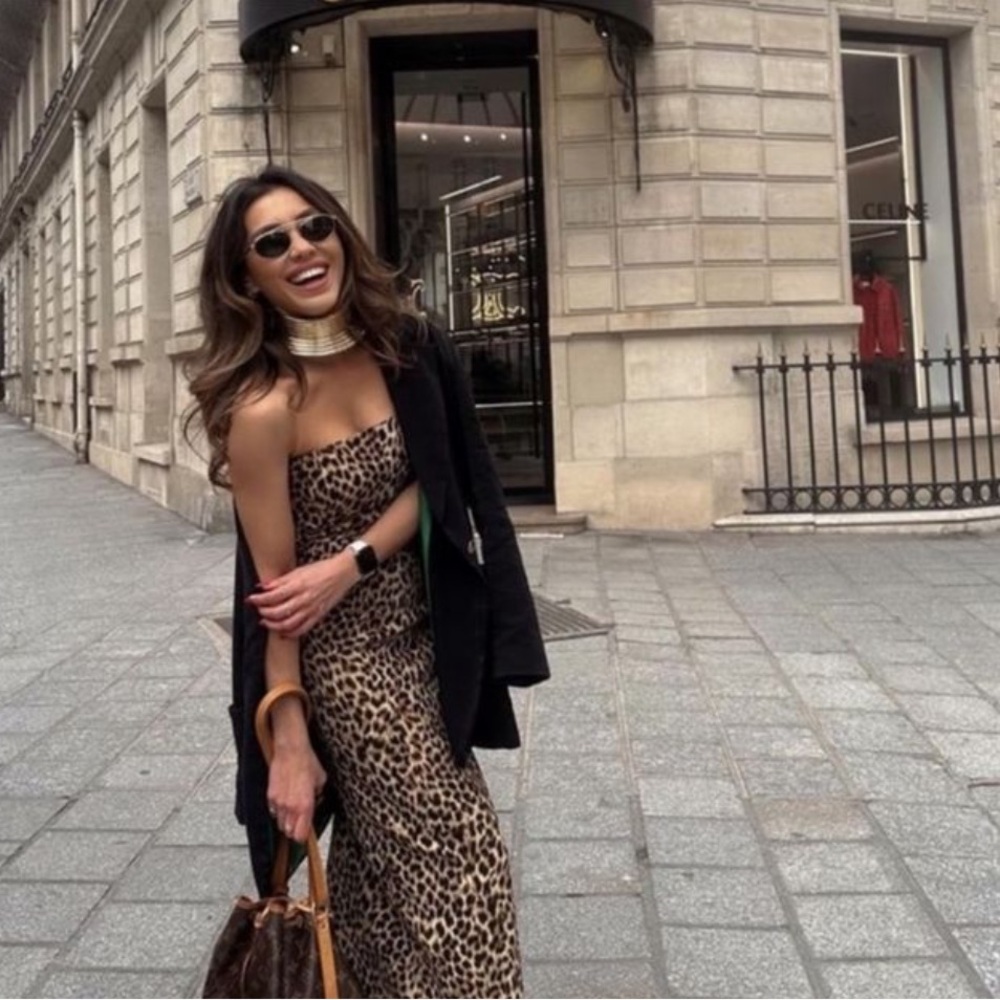 NWT Zara Leopard Dress - Picture 3 of 7